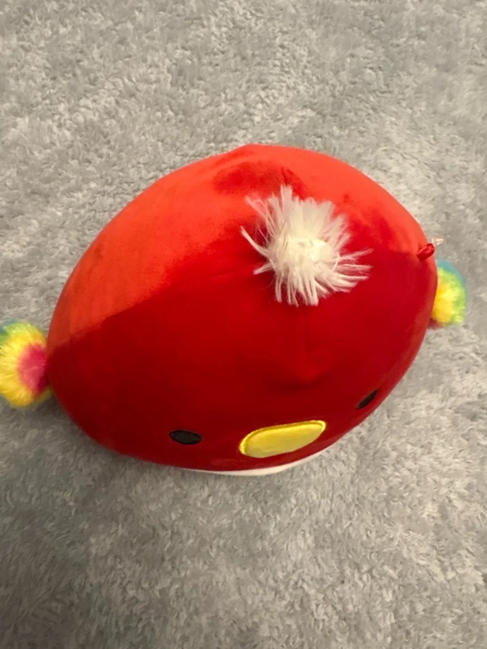 Squishmallows Paco The Parrot